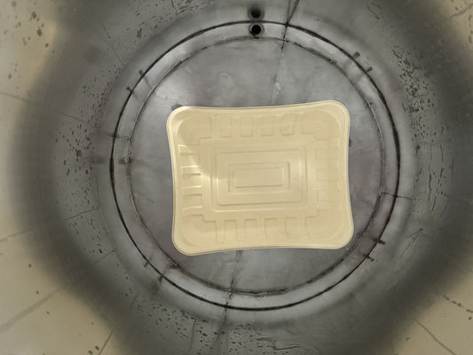 Hochgeschwindigkeits-Vollautomatische Schleuderbeschichtungsmaschine für Zellstoffformen mit 1040 mm maximaler Beschichtungsbreite