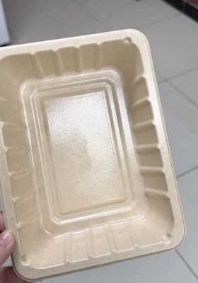 Interne Rotationsbeschichtungsanlage für Zellstoffformteile - Vollautomatische Präzisionsbeschichtungsmaschine