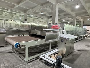 Mikrowellen-Sterilisations- und Trocknungssystem für Lebensmittel, das Nährstoffe schützt und die Haltbarkeit erhöht