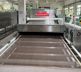 Nachhaltige Fertigung Umweltbewusstes Design 14-stufige Mikrowellen-Trocknungsmaschine für Zellstoff-Meeresfrüchte