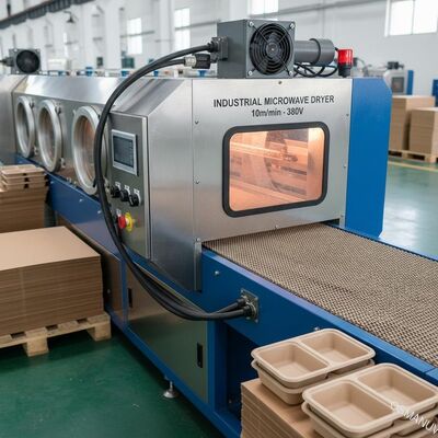 Industrielle Mikrowellentrocknermaschine 380 V für Schachtel oder Lunchbox