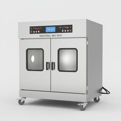 Zwei Tür UV-Constant Temperature Blast Drying Oven Industial 380V 50HZ