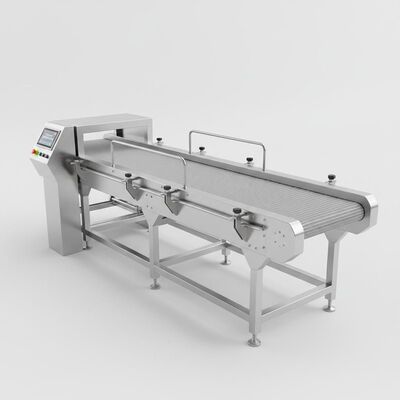 Kontinuierliches Fördersystem aus Edelstahl für glatten und funktionalen Transport