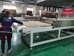 Industrielle Mikrowellen-Frucht- und Kräutertrockner. Hohe Effizienz und Qualitätssicherung