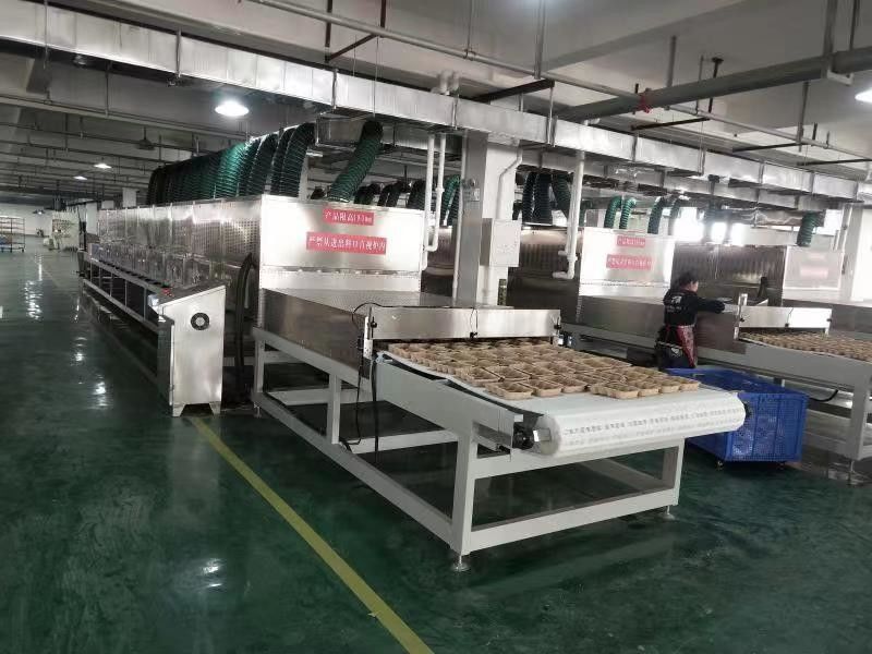Industrial Microwave Drying Line for Food & Herbs – Continuous Tunnel Design with Customizable Power
