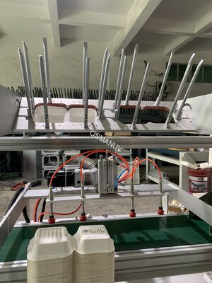  High-Speed One-Pass Digital Printer for Molded Pulp Food Containers